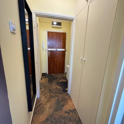 Аренда светлой и уютной 2-комнатной квартиры, 52 м², центр Белграда, Сербия